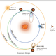 Image for article titled India Reaches Mars With Mangalyaan's Safe Arrival